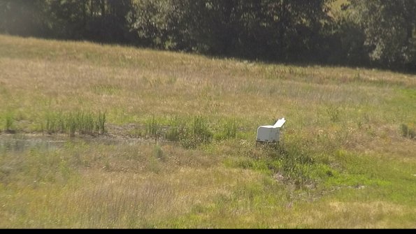 capture-13-22-06-27_16-43-49-42