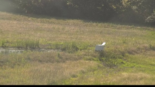 capture-13-22-06-27_18-48-37-40