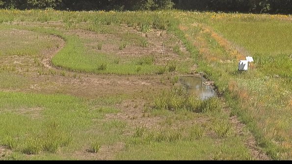 capture-14-22-06-27_10-29-58-39