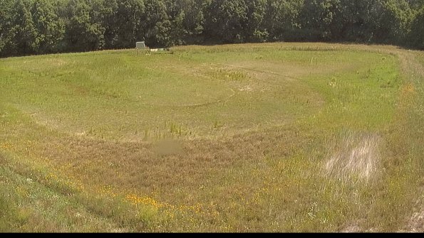 capture-15-22-06-27_11-32-35-49