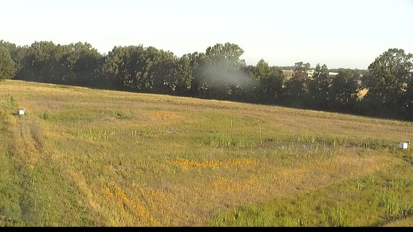 capture-4-22-06-27_07-22-07-26