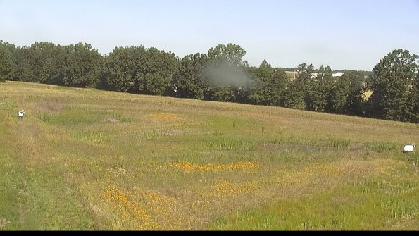 capture-4-22-06-27_09-26-52-35