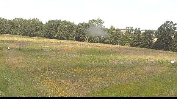 capture-4-22-06-27_11-31-39-37