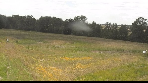 capture-4-22-06-27_13-36-25-29