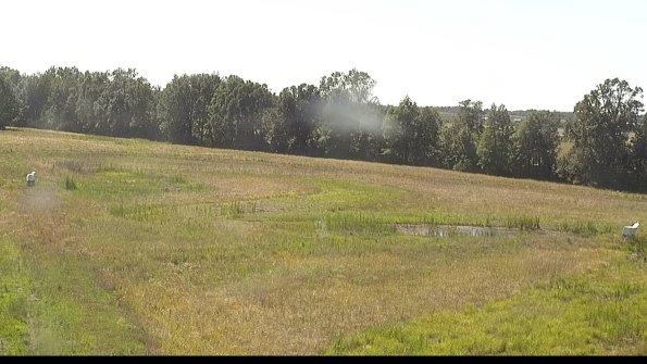 capture-4-22-06-27_16-43-35-30