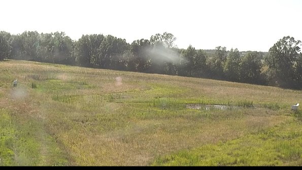 capture-4-22-06-27_17-46-00-23