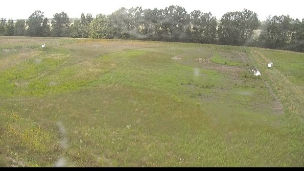 capture-6-22-06-27_13-36-53-52