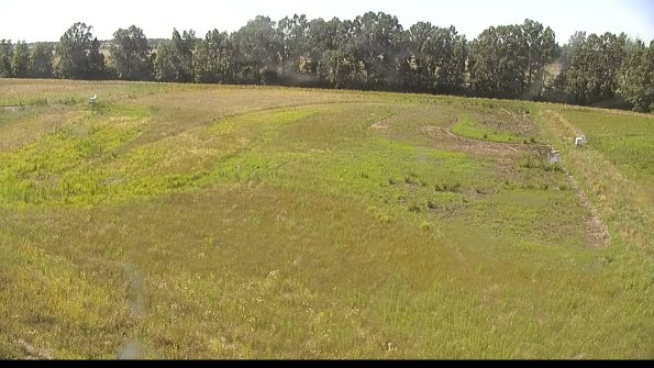 capture-6-22-06-27_16-44-04-33