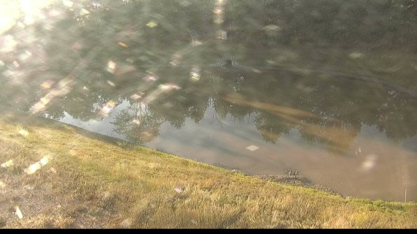 capture-8-22-06-27_07-21-22-78