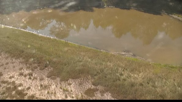 capture-8-22-06-27_09-26-08-40