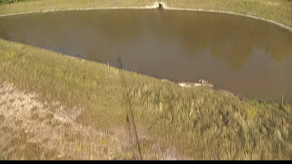 capture-8-22-06-27_18-47-39-34