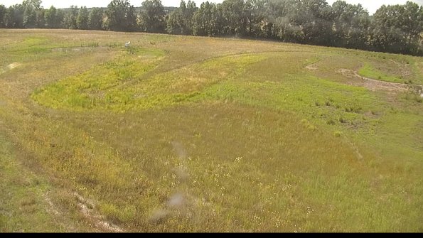 capture-1-22-06-29_16-35-10-51