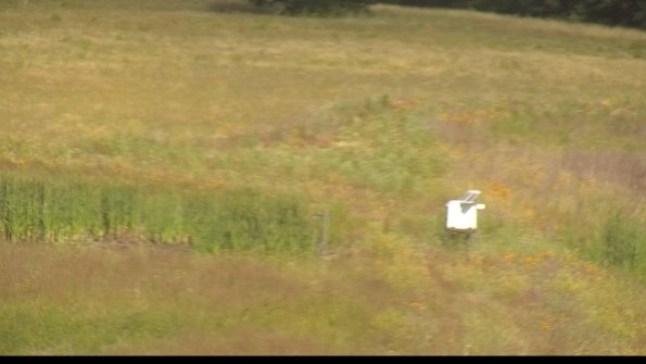 capture-12-22-06-29_09-16-44-34