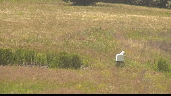 capture-12-22-06-29_15-31-07-39