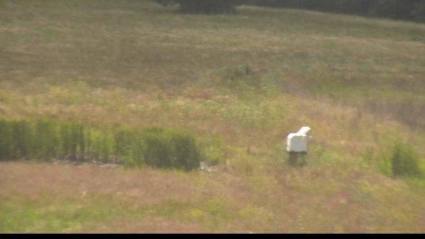 capture-12-22-06-29_16-33-31-28