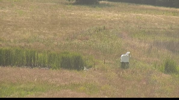 capture-12-22-06-29_17-35-55-37