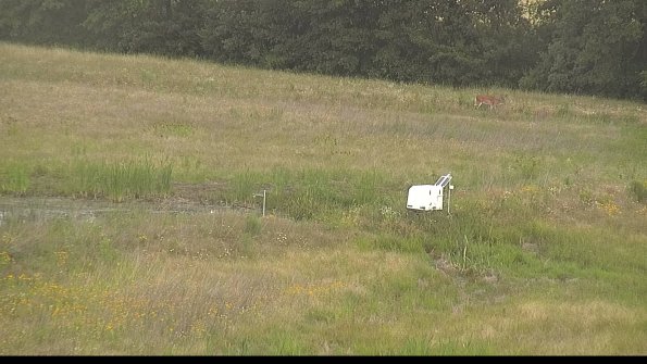 capture-13-22-06-29_07-12-25-31