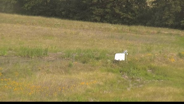 capture-13-22-06-29_09-17-12-36