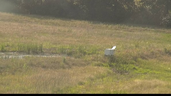 capture-13-22-06-29_18-38-47-39