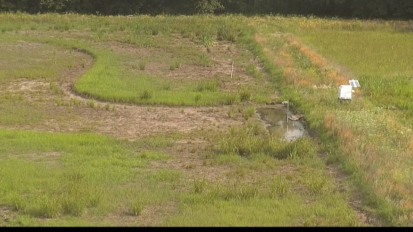 capture-14-22-06-29_09-17-41-36