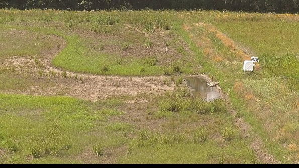 capture-14-22-06-29_15-32-04-38