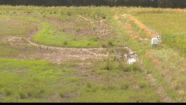 capture-14-22-06-29_16-34-28-30