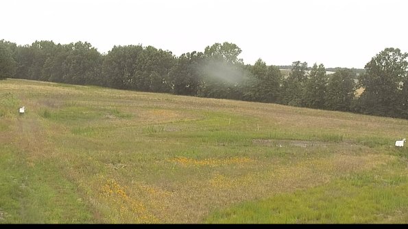 capture-4-22-06-29_08-14-35-39