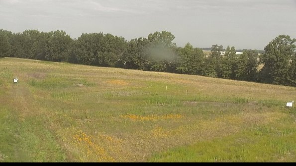 capture-4-22-06-29_09-16-59-22