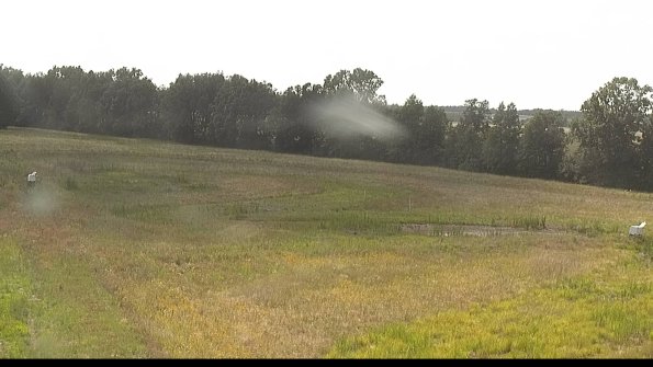 capture-4-22-06-29_16-33-46-26