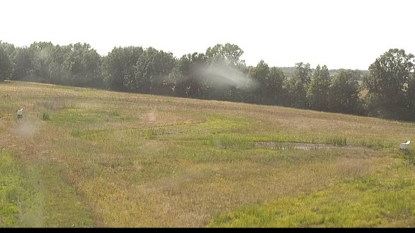 capture-4-22-06-29_17-36-10-05