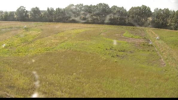 capture-6-22-06-29_17-36-38-45