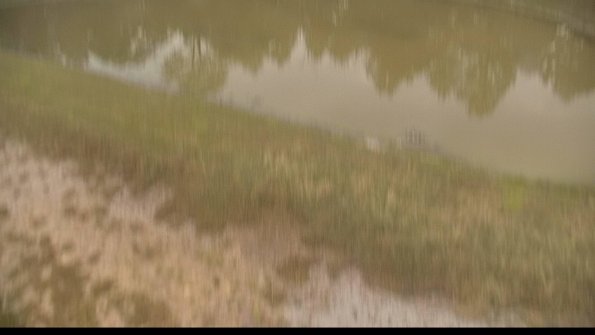 capture-8-22-06-29_08-13-51-28