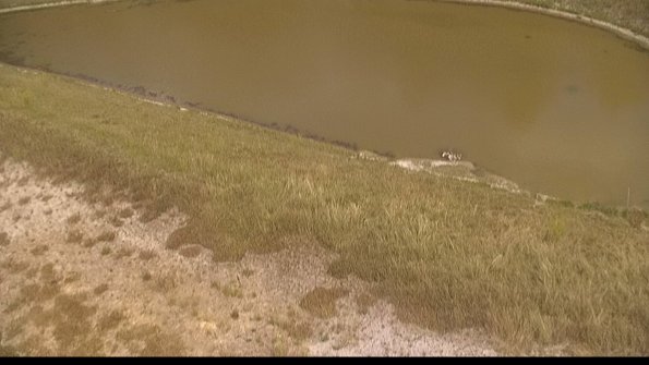 capture-8-22-06-29_15-30-37-39