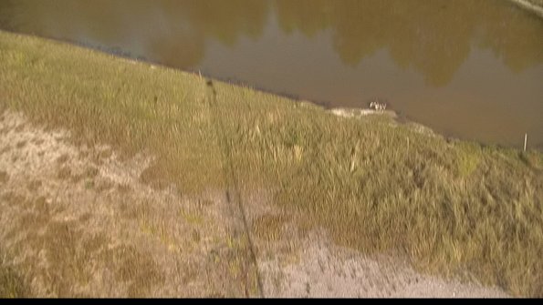 capture-8-22-06-29_18-37-49-33