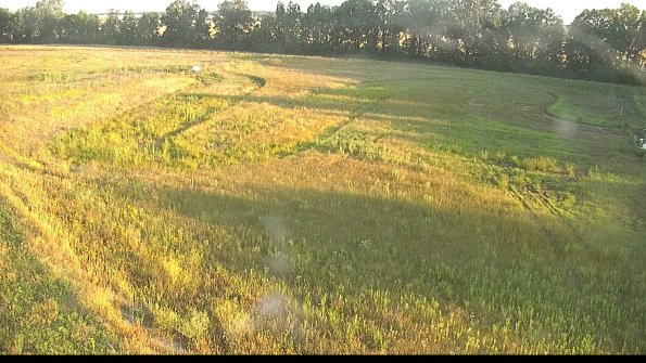 capture-1-22-06-30_06-59-59-38