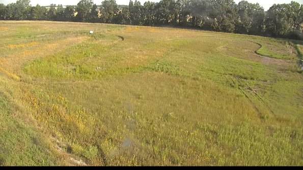 capture-1-22-06-30_08-11-04-87