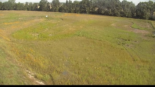 capture-1-22-06-30_09-13-28-53