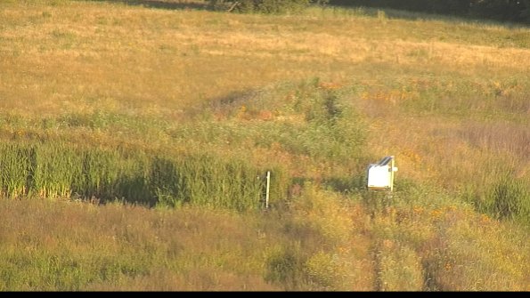 capture-12-22-06-30_07-07-02-41