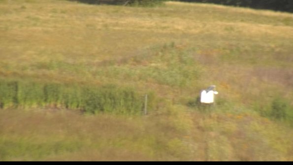 capture-12-22-06-30_08-09-26-57