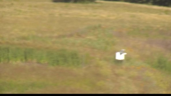 capture-12-22-06-30_09-11-49-53