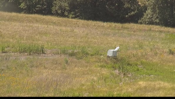 capture-13-22-06-30_15-26-39-53