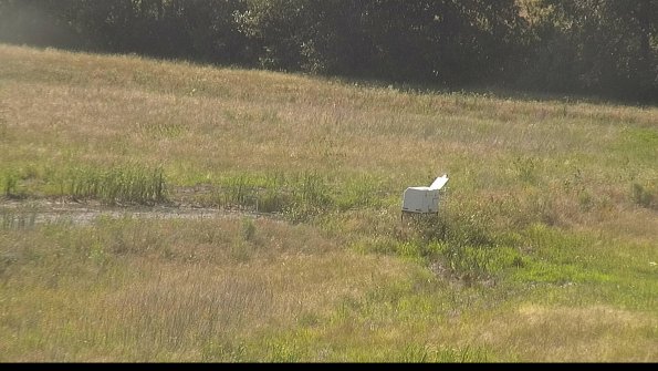 capture-13-22-06-30_17-31-26-36