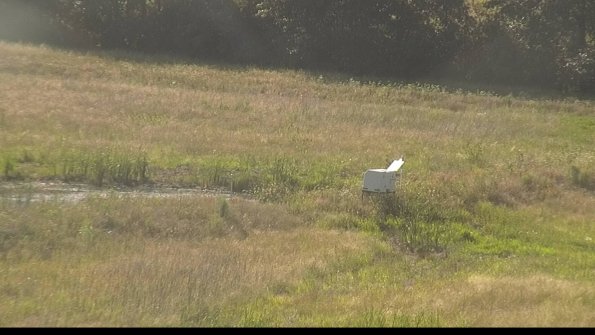 capture-13-22-06-30_18-33-49-32