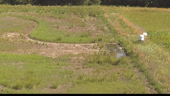 capture-14-22-06-30_10-15-10-48