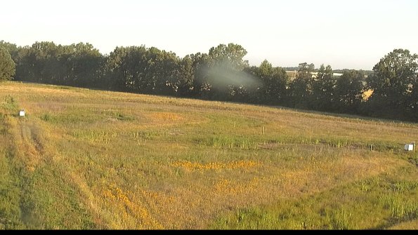 capture-4-22-06-30_07-07-16-35