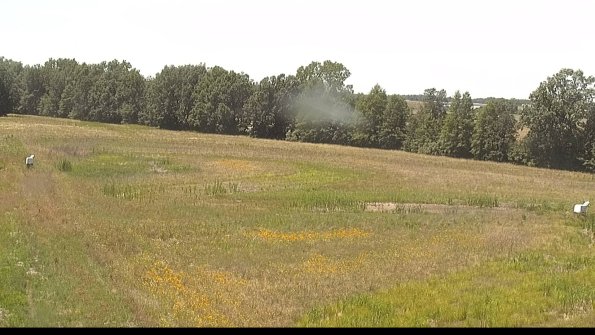 capture-4-22-06-30_14-24-02-46