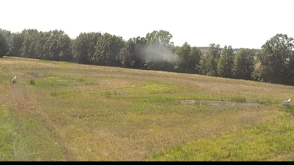 capture-4-22-06-30_16-28-49-46