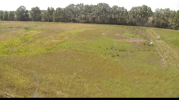 capture-6-22-06-30_16-29-17-59