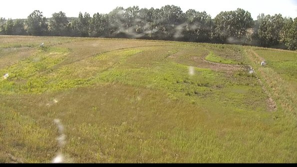 capture-6-22-06-30_17-31-40-78