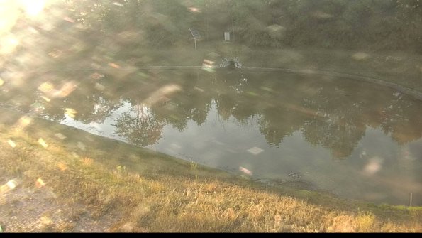 capture-8-22-06-30_07-06-32-98